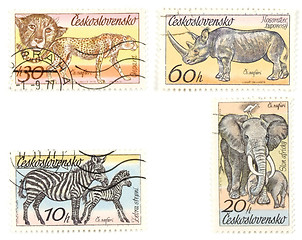 Image showing African animals on postage stamps