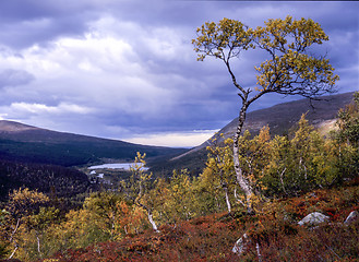 Image showing Autumn Landscape