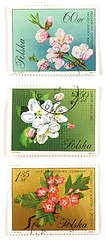Image showing Tree blossom collectible post stamps