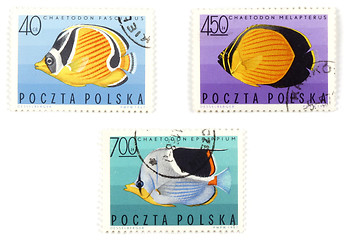 Image showing Postal stamps - set with fish