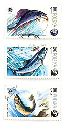 Image showing Post stamps with angling and fish