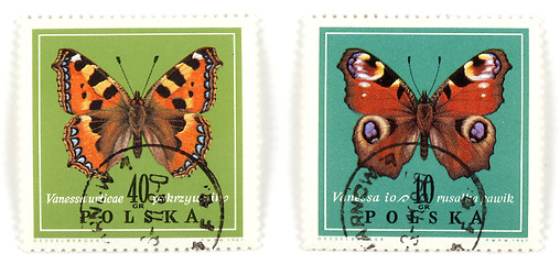 Image showing Polish set of stamps - butterfly