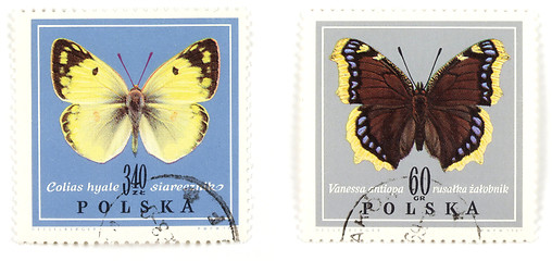 Image showing Butterflies - stamps collection