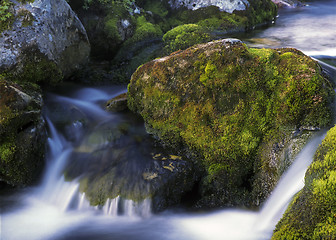 Image showing Mountain stream