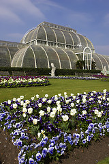 Image showing Palm house kew gardens London uk