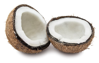 Image showing Coconut