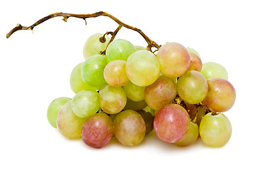 Image showing Grapes