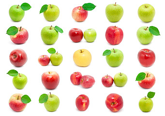 Image showing Apples