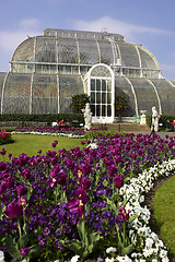 Image showing Palm house kew gardens London uk