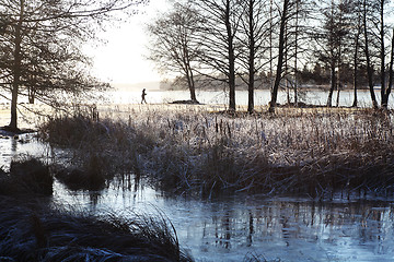 Image showing winter morning in the park