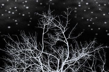 Image showing winter night