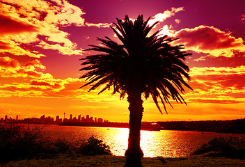 Image showing Silhouette of Sydney, Australia