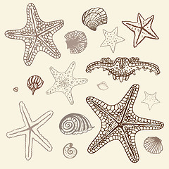 Image showing Sea Starfish set. Hand drawn vector illustration.