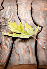 Image showing Autumn leaf on a wooden table