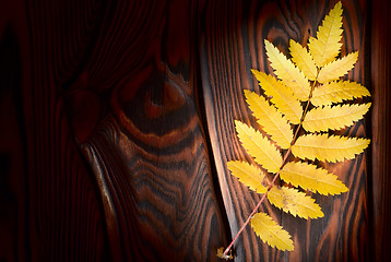 Image showing Autumn leaf on the boards