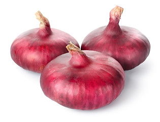 Image showing Three red onions