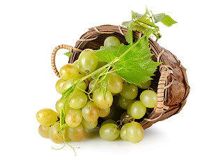 Image showing Grapes in a wooden basket