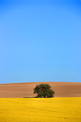 Image showing Beautiful rural fields landscape