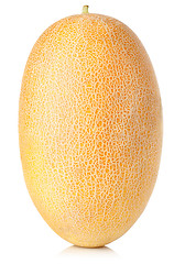 Image showing Cantaloupe