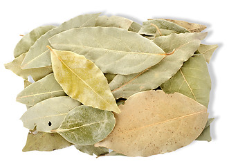 Image showing Heap bay leaves