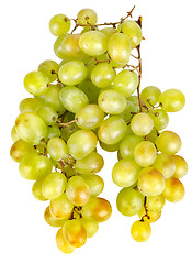 Image showing Bunch of green grapes