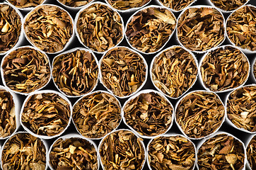 Image showing Close-up of cigarettes