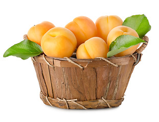 Image showing Apricots in a basket isolated