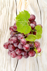 Image showing Blue grapes on the table