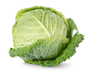 Image showing Savoy cabbage