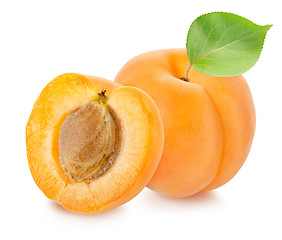 Image showing Apricots with leaf