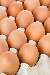 Image showing Eggs in cardboard tray
