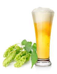 Image showing Light beer and hop