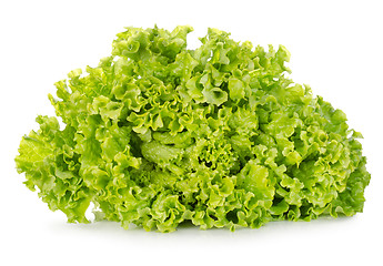 Image showing Fresh green lettuce