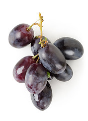 Image showing Dark blue grapes