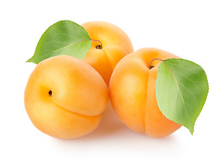 Image showing Apricots with leaves