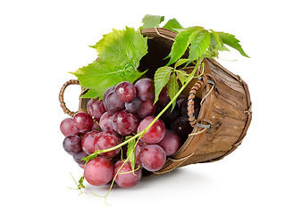 Image showing Dark blue grapes in a wooden basket