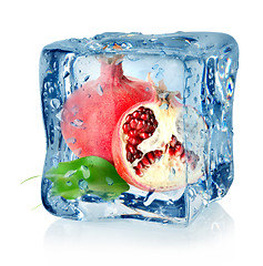 Image showing Ice cube and pomegranate
