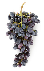 Image showing Bunch of blue grapes