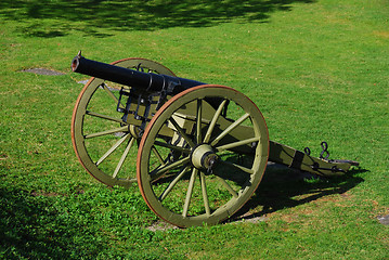 Image showing Old Field Cannon