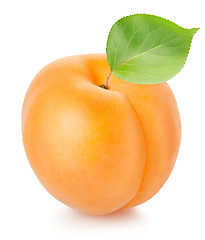 Image showing Apricot with leaf