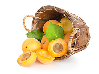 Image showing Apricots in a basket