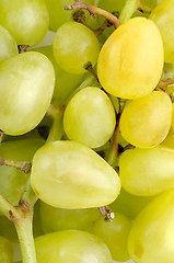 Image showing Grapes background