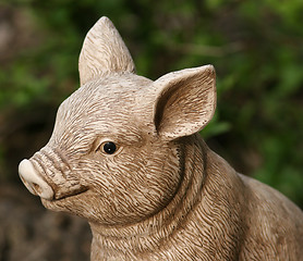 Image showing Garden Pig Tight Shot