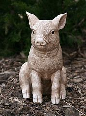 Image showing Garden Pig