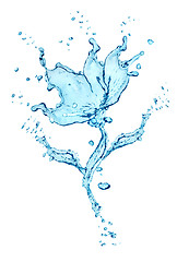 Image showing Flower made of water splashes