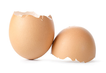 Image showing Empty brown egg shell