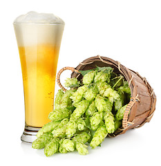 Image showing Beer and hop in basket