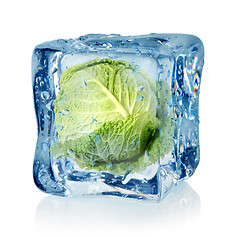 Image showing Ice cube and savoy cabbage