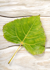 Image showing Poplar leaf on a wooden background