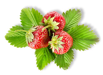 Image showing Heap strawberry isolated